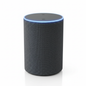 Asistente de Voz SmartHome - Vista frontal